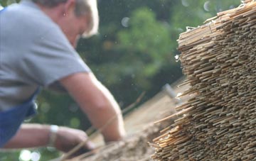 professional Tarnside thatchers